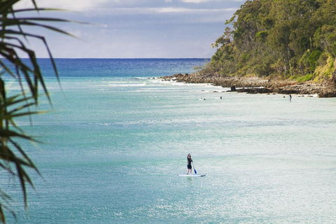 Noosa Court 6 - Accommodation Gladstone 1