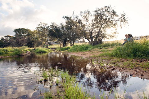 Northbrook Farmstay - Accommodation Gladstone 0