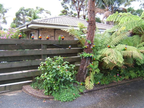 Ocean Drive Apartments - Accommodation Gladstone 3