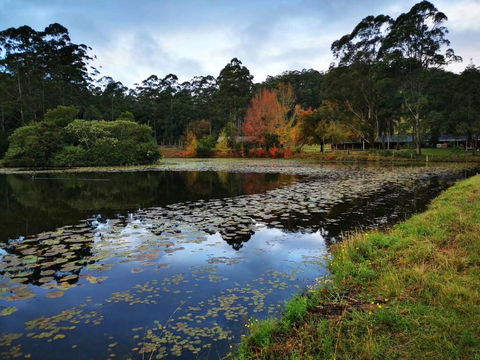 OCT Forest Lodge - Accommodation Gladstone 2
