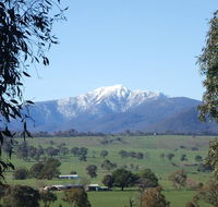 Off Mountain Accommodation - Accommodation Gladstone
