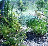 Old Miners' Cottages Bed and Breakfast - Accommodation Gladstone