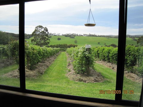 Pennyroyal Raspberry Farm & Cidery - Accommodation Gladstone 0