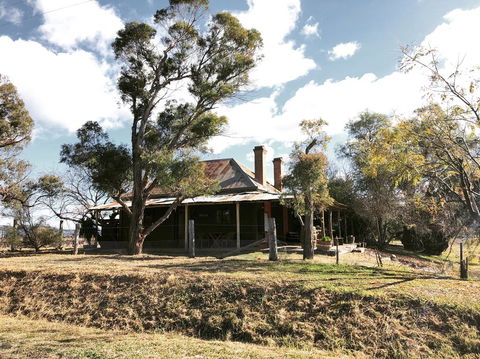 Pieter Van Gent Winery & Vineyard - Accommodation Gladstone 3
