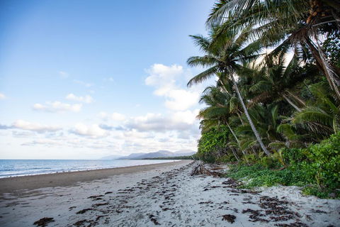 Port Douglas Mirage Villa #435 Absolute Beachfront - Accommodation Gladstone 1