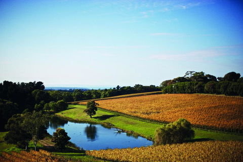 Port Phillip Estate - Accommodation Gladstone 2