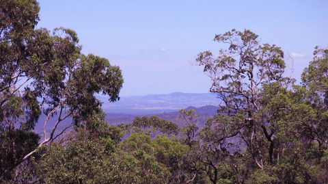 Ravensbourne Escape - Cedar Lodge - Accommodation Gladstone 0