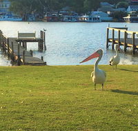 Riverfront Getaway - Mannum - Accommodation Gladstone