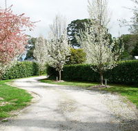 Robin Hill Manor - rambling retreat  tennis court - Accommodation Gladstone