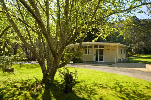 Russell Falls Holiday Cottages - Accommodation Gladstone 3