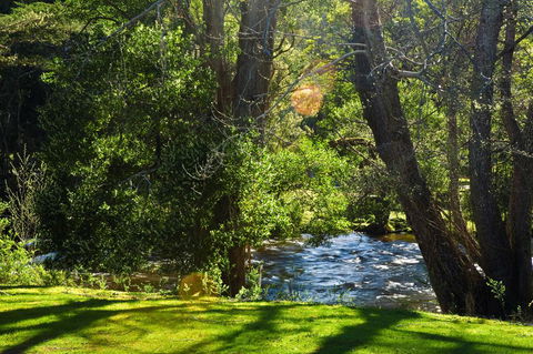 Russell Falls Holiday Cottages - Accommodation Gladstone 2