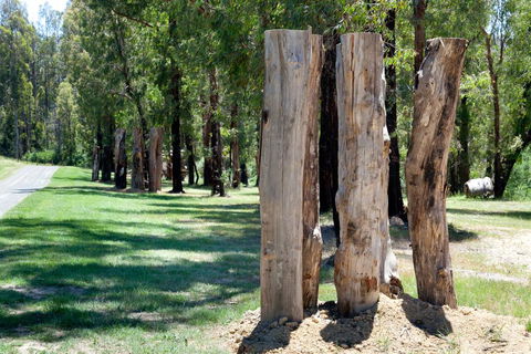 Saladin Lodge - Accommodation Gladstone 2