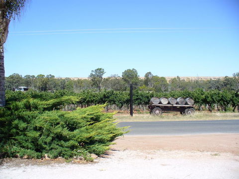 Salter Station. Blanchetown. South Australia - Accommodation Gladstone 3