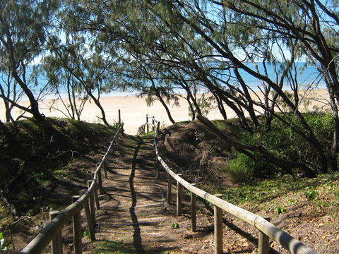 SeaEagles Beach Resort - Accommodation Gladstone 2