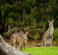 Secura Lifestyle Countryside Kalaru - Accommodation Gladstone