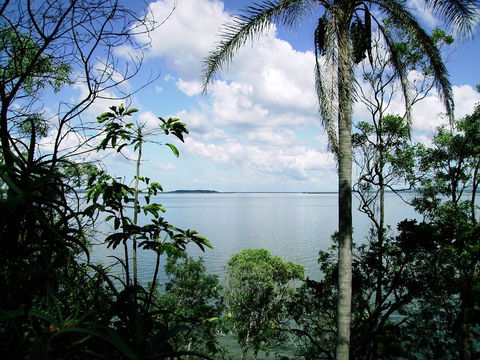 Seminara Apartments Coochiemudlo Island - Accommodation Gladstone 1