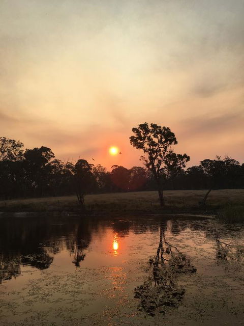 Serenity On Stanthorpe - Accommodation Gladstone 2