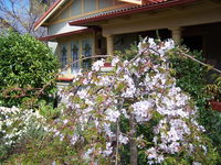 Book Katoomba Accommodation Vacations Accommodation Gladstone Accommodation Gladstone