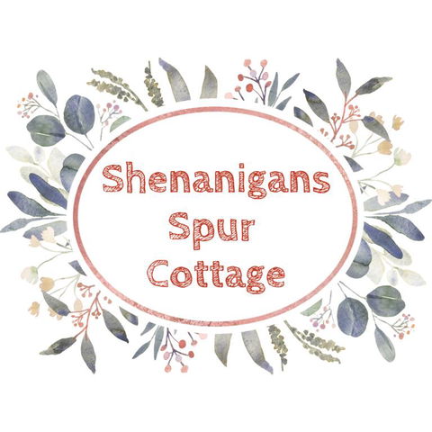 Shenanigans Spur Cottage - Accommodation Gladstone 3