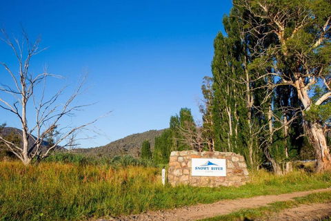 Snowy River Cabins - Accommodation Gladstone 3