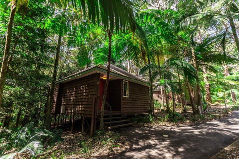 Songbirds Rainforest Retreat - Accommodation Gladstone 2