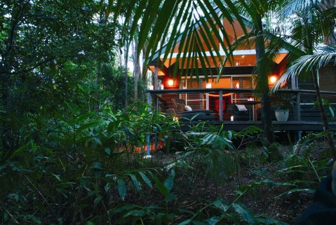 Songbirds Rainforest Retreat - Accommodation Gladstone 0