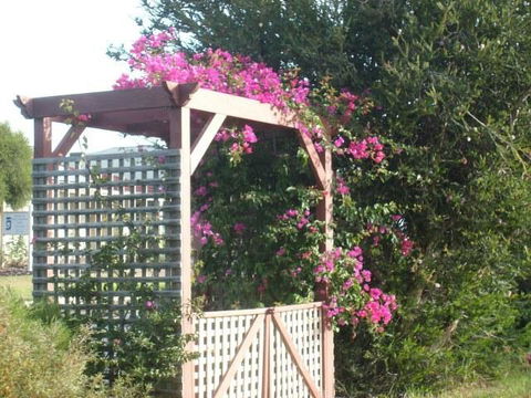 Southern Vales Bed & Breakfast - Accommodation Gladstone 3