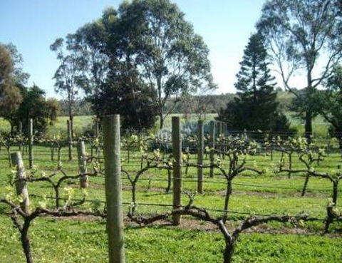 Southern Vales Bed & Breakfast - Accommodation Gladstone 1