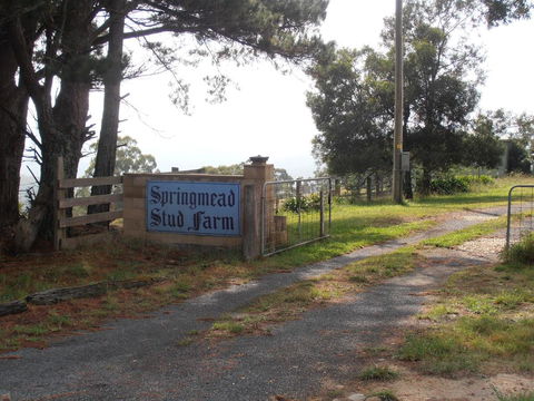 Springmead B&B - Accommodation Gladstone 2
