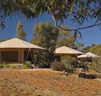 Squeakywindmill Boutique Tent BB - Accommodation Gladstone