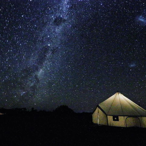Starfields Luxury Camping - Accommodation Gladstone 3