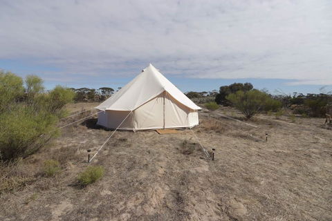 Starfields Luxury Camping - Accommodation Gladstone 1