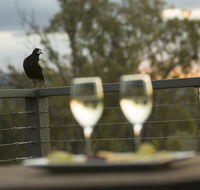 Stockton Rise Country Retreats - Accommodation Gladstone