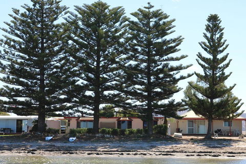 Tall Pines Beach House At Mount Dutton Bay (part Of Coffin Bay Waterways) - Accommodation Gladstone 1