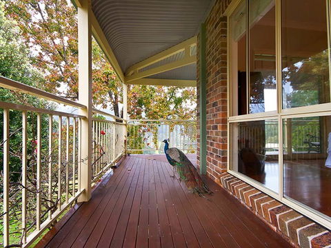 The Acreage Luxury B&B And Guesthouse - Accommodation Gladstone 1