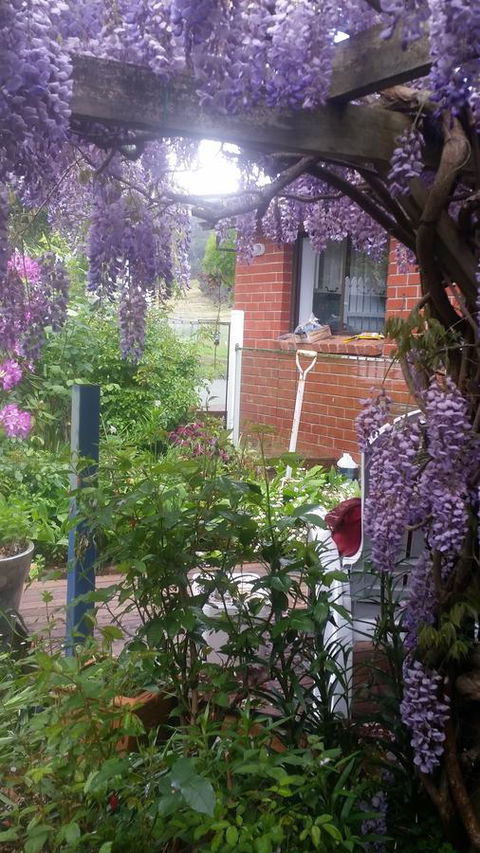 Birch Lane - Accommodation Gladstone 41