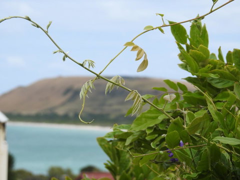 Ellie\'s Cottages - Accommodation Gladstone 3