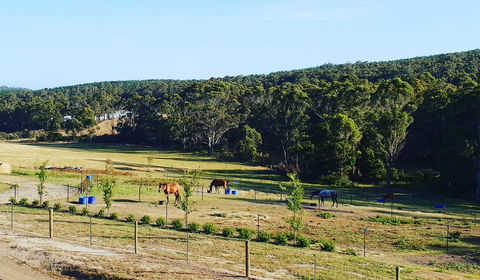 Lockleigh Park - Accommodation Gladstone 19