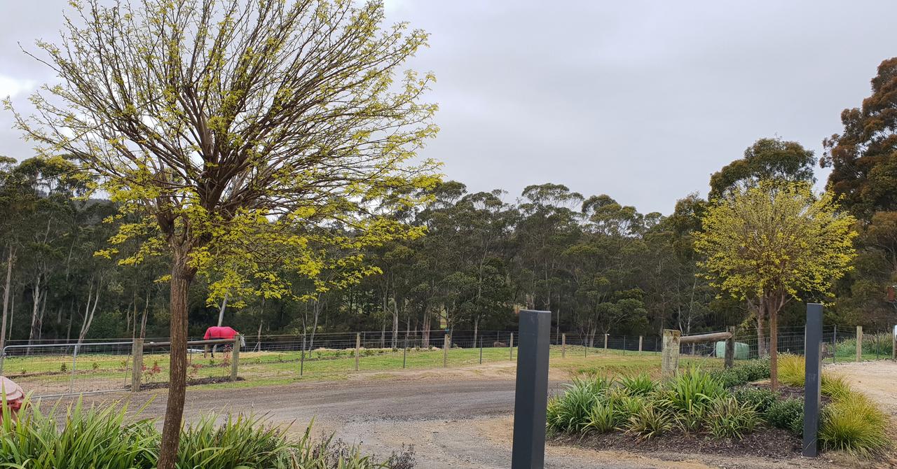  Accommodation Gladstone