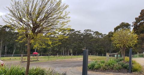 Lockleigh Park - Accommodation Gladstone 0