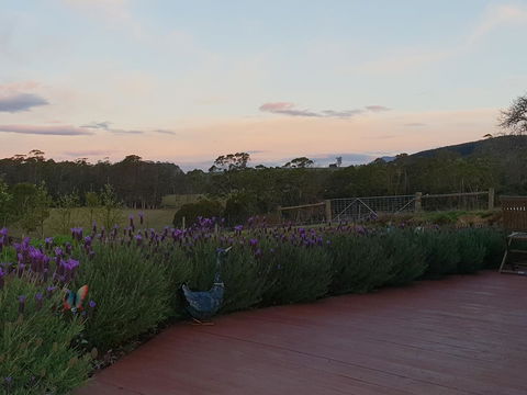 Lockleigh Park - Accommodation Gladstone 23