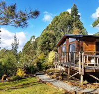 Southern Forest Accommodation - Accommodation Gladstone