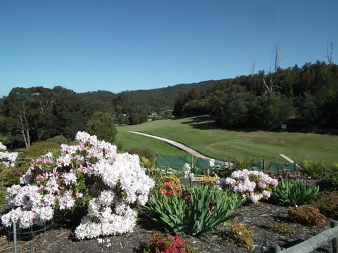 Harlea - Accommodation Gladstone 16