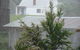Buttons Cottage For Canyon & Rain Forest Walks With In House Dining - thumb 9