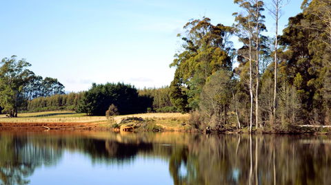 Buttons Cottage For Canyon & Rain Forest Walks With In House Dining - Accommodation Gladstone 29