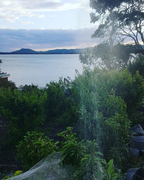 AppleBay Guest House - Accommodation Gladstone 31
