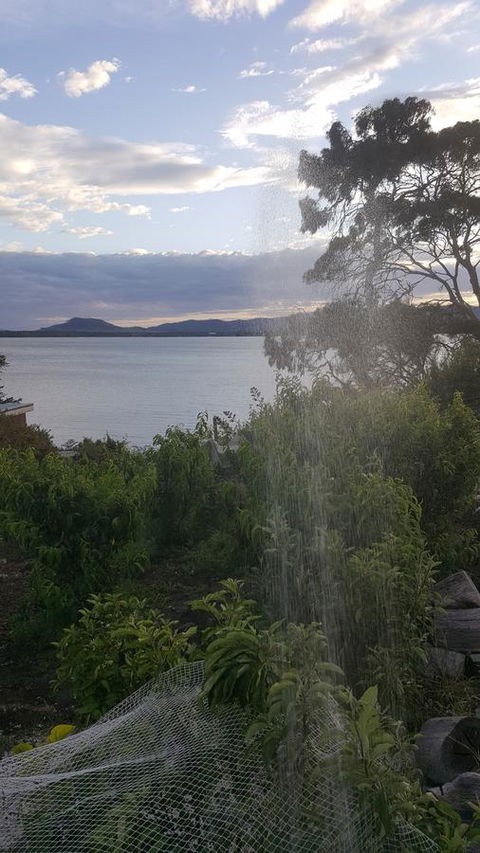 AppleBay Guest House - Accommodation Gladstone 22