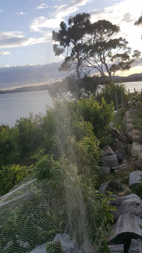 AppleBay Guest House - Accommodation Gladstone 21