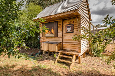 Glencoe Country Bed And Breakfast - Accommodation Gladstone 34