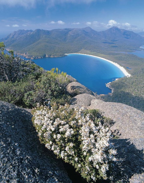 Freycinet Lodge - Accommodation Gladstone 41